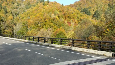 Yuzawa - Photo 3