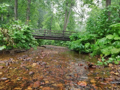 Artvin - Photo 4