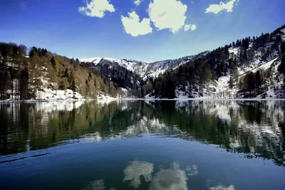 Artvin - Photo 5