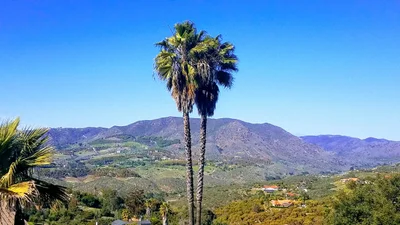 Fallbrook - Photo 3