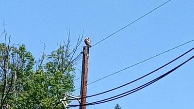 Medford Township - Photo 3