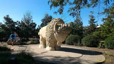 Mankato - Photo 2