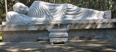 Gainesville - Photo 2