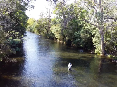 Meander - Photo 4