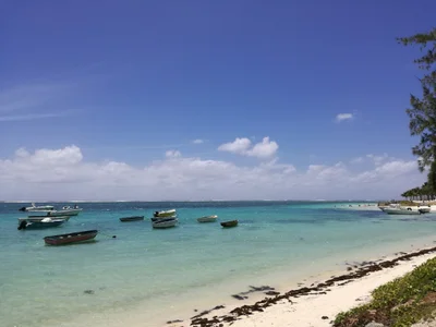 Quatre Cocos - Photo 5
