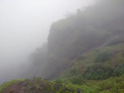 Avakali - Photo 3