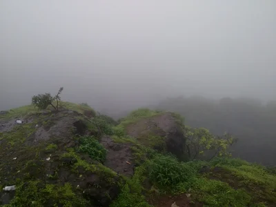 Avakali - Photo 4