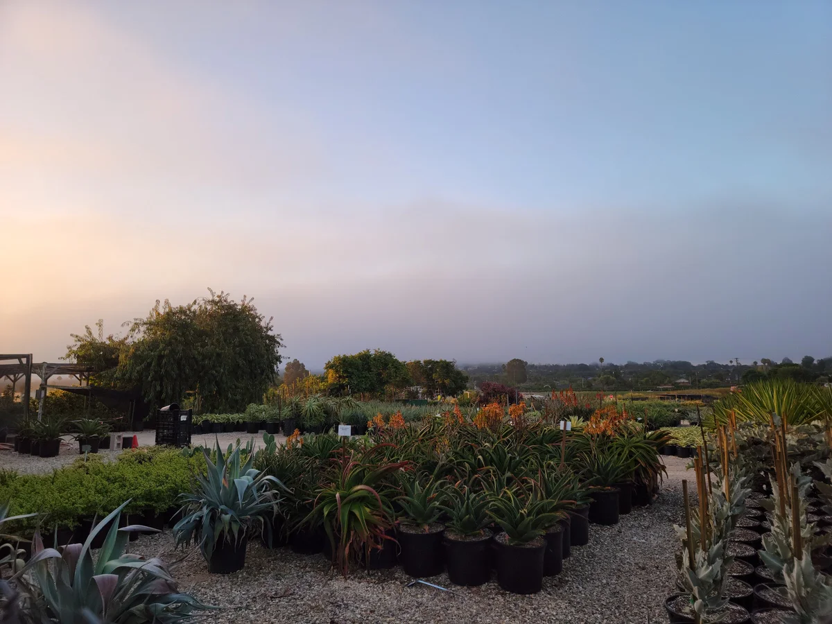 Goleta - Photo 1