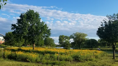 Carol Stream - Photo 2