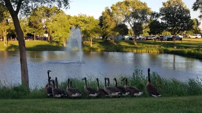 Carol Stream - Photo 4