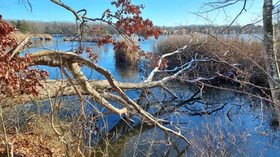 East Providence - Photo 2