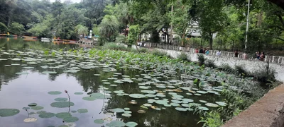 Renuka Ji - Photo 4