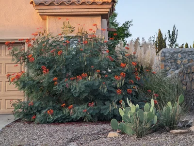Las Cruces - Photo 3