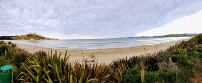 Waikouaiti - Photo 3