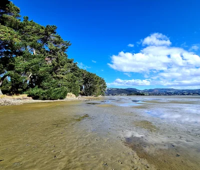 Waikouaiti - Photo 4