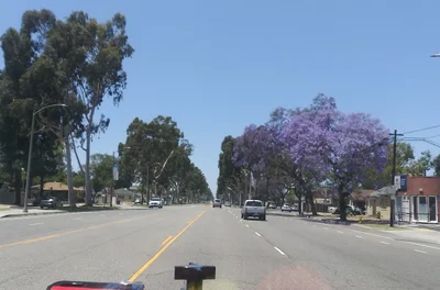 Lakewood - Photo 2