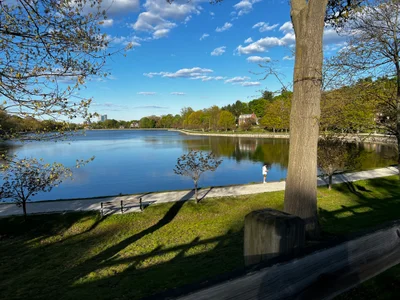 Brookline - Photo 4