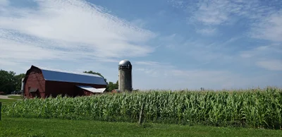 Shelburne - Photo 3