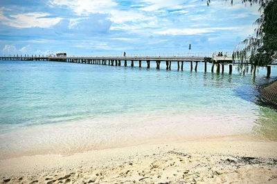 Green Island - Photo 2