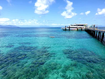 Green Island - Photo 4