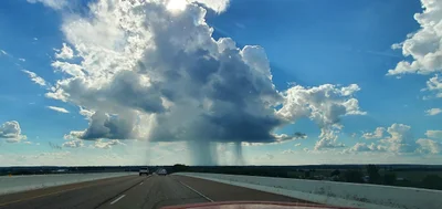 Savannah - Photo 2