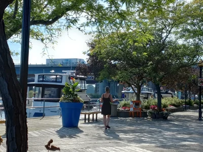 Sainte-Anne-de-Bellevue - Photo 2