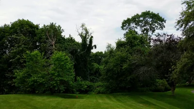 Danvers - Photo 3