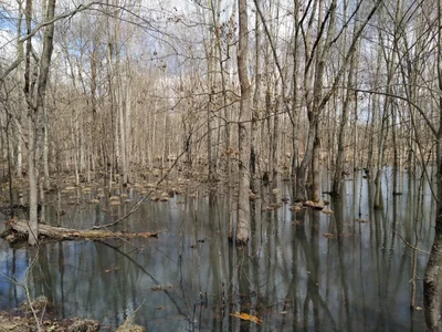 City of Middletown - Photo 2