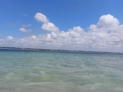 Malindi Marine National Park - Photo 2