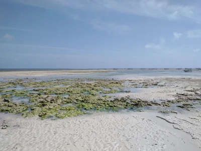 Malindi Marine National Park - Photo 3