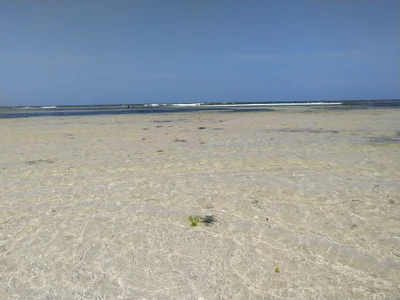 Malindi Marine National Park - Photo 4
