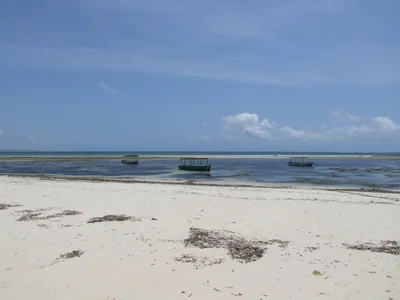 Malindi Marine National Park - Photo 5