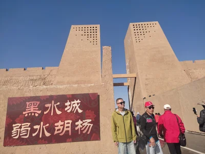 Alashanyou Qi - Photo 2
