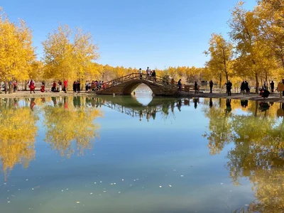 Alashanyou Qi - Photo 5