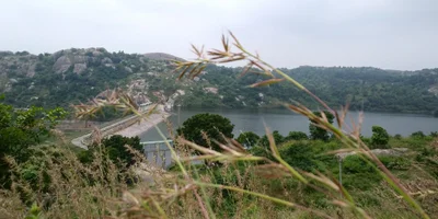 Manchanabele - Photo 4