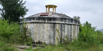 Manchanabele - Photo 5