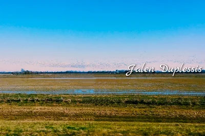 Ville Platte - Photo 2