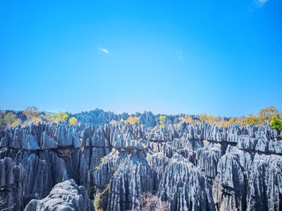 Tsingy de Bemaraha National Park - Photo 2