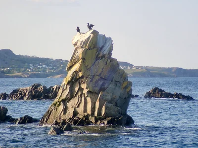 Bay Roberts - Photo 4