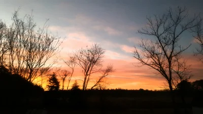 Pocomoke City - Photo 2