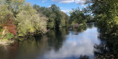 Dedham - Photo 4