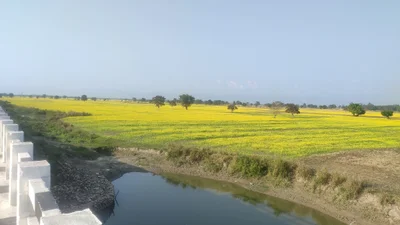 Dhemaji - Photo 3