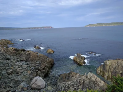 Witless Bay - Photo 2