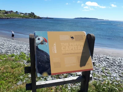 Witless Bay - Photo 3
