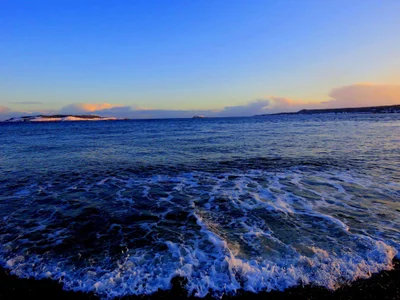Witless Bay - Photo 4