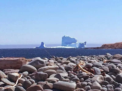 Witless Bay - Photo 5