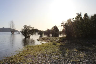 Panguipulli - Photo 2