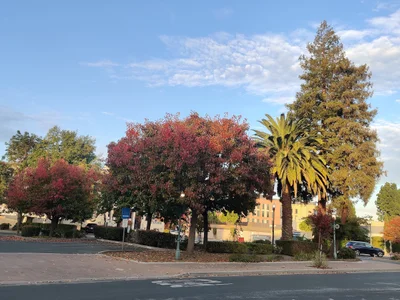 Redwood City - Photo 3