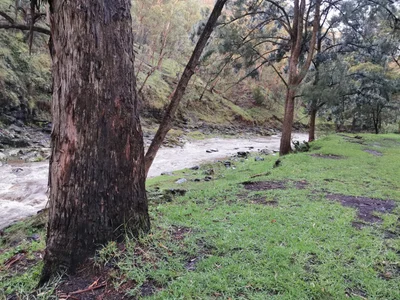 Goomburra - Photo 2