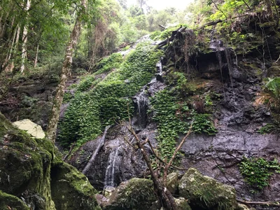 Goomburra - Photo 4